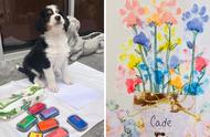 探索25张宠物狗掌印画：狗狗的绘画天赋超乎想象！