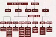 探寻红木真相：从“XX花梨木”到学名之旅