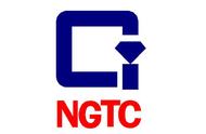 NGTC权威解读：琥珀鉴定证书全解析