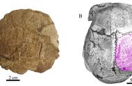 周口店的惊人发现：20万年前的人骨化石，可能来自中国人的祖先吗？