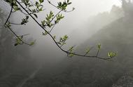 西湖高山下的古村落，寻找茶的源头