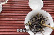 雪片茶：你不知道的茶叶秘密