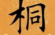 探寻桐字的背后故事——每日一字系列今日揭秘