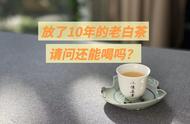 白茶能保存多久？过了10年还能喝吗？