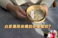 白茶：是用来品饮的，还是用来收藏的？对于普通茶爱好者来说，家中有必要储备大量茶叶吗？