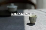 如何品鉴新白茶？只需6个步骤，新手也能轻松学会