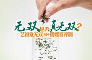 艺福堂无双20+特级碧螺春，2000元的杭州碧螺春值得购买吗？