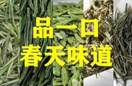 明前春茶，品味春天的精华：10款名优绿茶精选