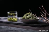 揭秘全国最美味的绿茶：这4款茶你喝过吗？