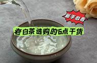 记住这6点干货，让你买到的都是好茶：关于老白茶的真实知识