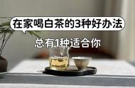 如何在家享受白茶：适合单人及多人的喝茶指南