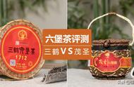 六堡茶两大品牌对决：评测揭秘，你的选择正确吗？