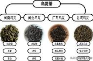 青茶与乌龙茶：名字的误解与真相