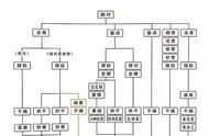 你知道如何制作茶叶吗？深入解析六大茶类的制作工艺