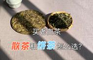 选购老白茶：散茶还是饼茶更适合普通人？