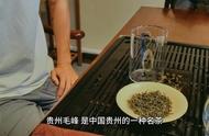 探寻贵州毛峰茶的独特魅力与品质