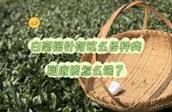 春白茶白毫银针固然好，但有机、荒野、高山、头采怎么选？