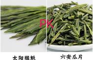 绿茶大PK：六安瓜片vs太平猴魁茶，你更喜欢哪一款？