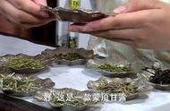 蒙顶甘露茶叶的外观和颜色：品质判断的关键因素