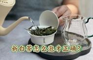 如何让新白茶变得美味可口？5个泡茶技巧教你一次搞定！