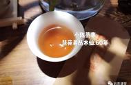 武夷岩茶新手必看：8个问题解答你的疑惑！