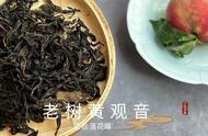 喝过黄观音，为何还要尝试老树茶？