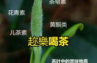 十几二十元的茉莉花茶，你敢信？一起来探究！