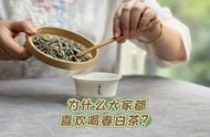 春茶热潮背后的秘密：4大理由解析春白茶的魅力