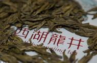 品味龙井：名茶知识大揭秘