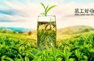 六大茶类揭秘：绿茶，鲜爽的绿衣舞者