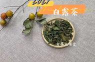 喝白茶的新方法：把饼茶都撬开成散茶，真的可以吗？