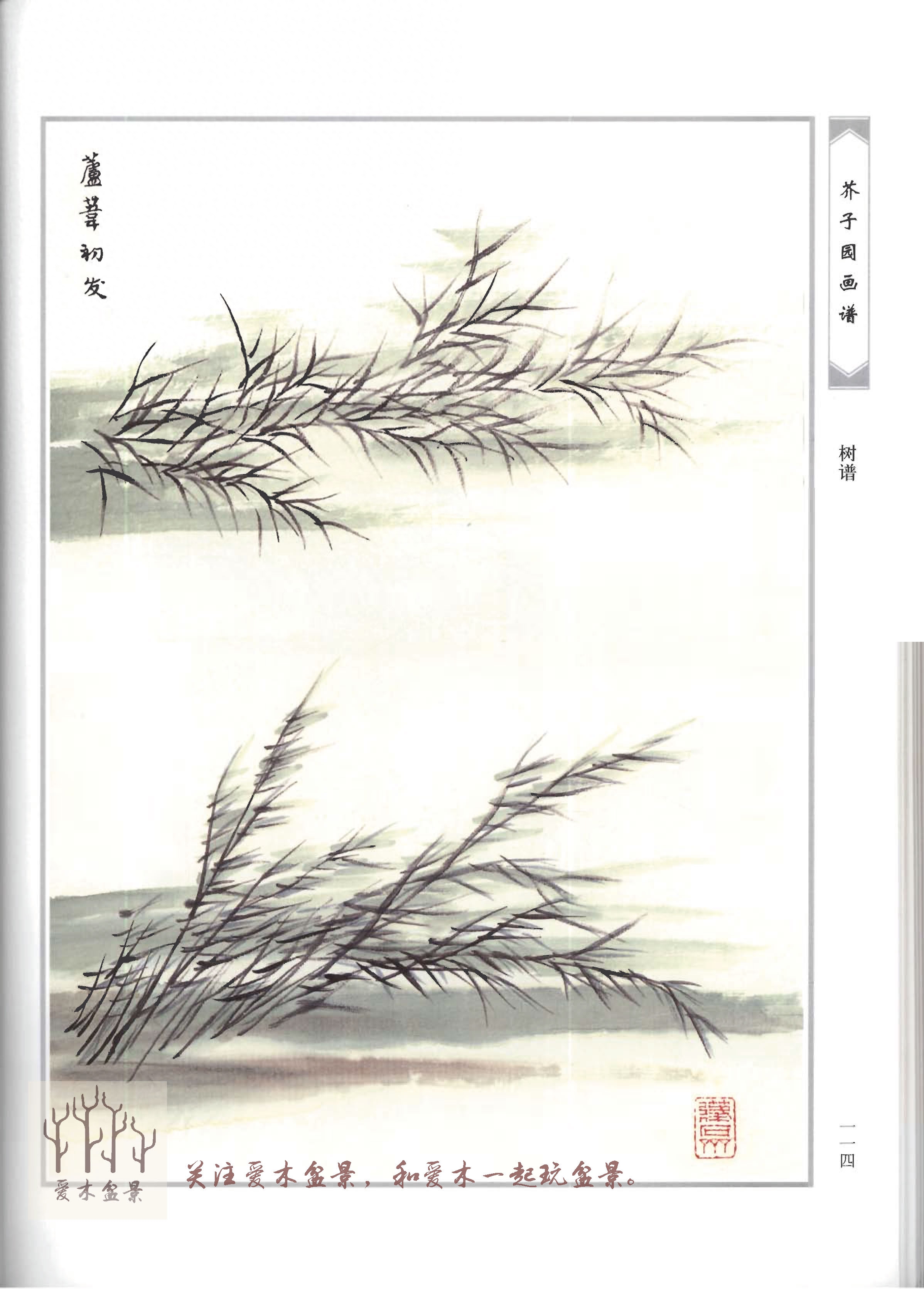 爱木盆景I《芥子园画谱-树谱》分享结文，盆景造型值得参考的范例